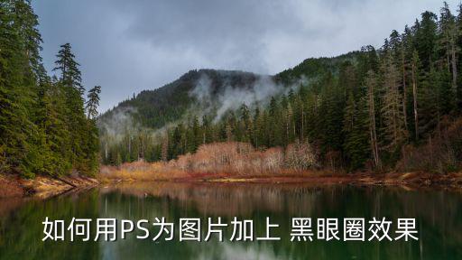 黑眼圈圖片可愛,黑眼圈攻略!絕招!
