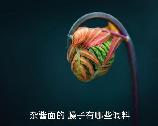 雜醬臊子怎么做,先炒肉丁再炸醬料裹肉上
