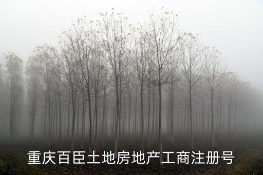 重慶百臣土地房地產工商注冊號