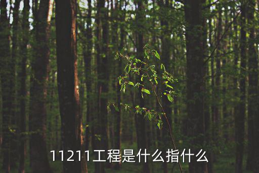 11211工程是什么指什么