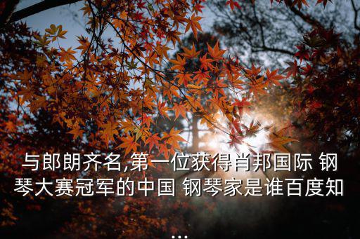 鋼琴王子李云迪,中國鋼琴大師李云di15歲時曾獲一等獎