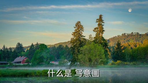 什么是 寫意畫
