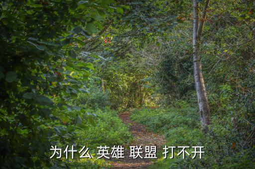 英雄聯(lián)盟打不開,手機ios15進不去原因介紹:系統(tǒng)出錯