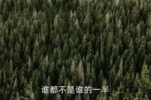 誰都不是誰的一半