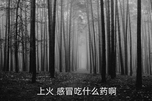  上火 感冒吃什么藥啊