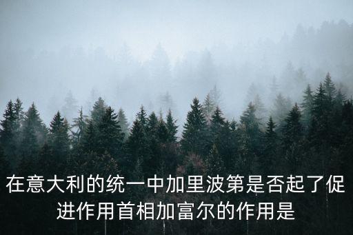 在意大利的統一中加里波第是否起了促進作用首相加富爾的作用是