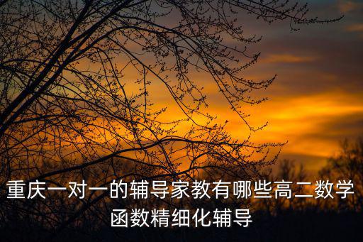 重慶一對一的輔導家教有哪些高二數學函數精細化輔導