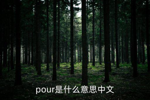 pour是什么意思中文