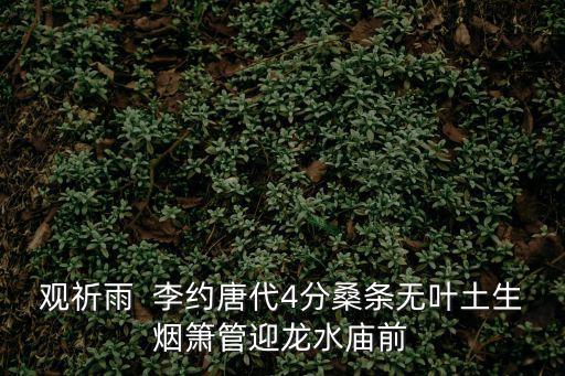 觀祈雨  李約唐代4分桑條無葉土生煙簫管迎龍水廟前