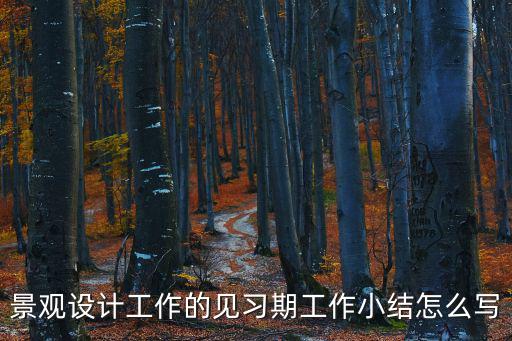 景觀設(shè)計(jì)工作的見習(xí)期工作小結(jié)怎么寫
