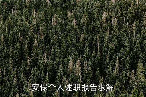 安保個人述職報告求解