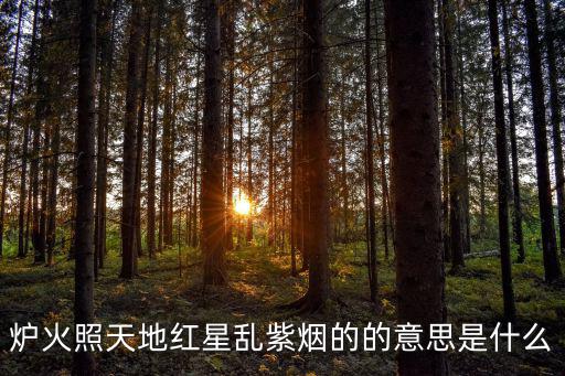 爐火照天地紅星亂紫煙的的意思是什么