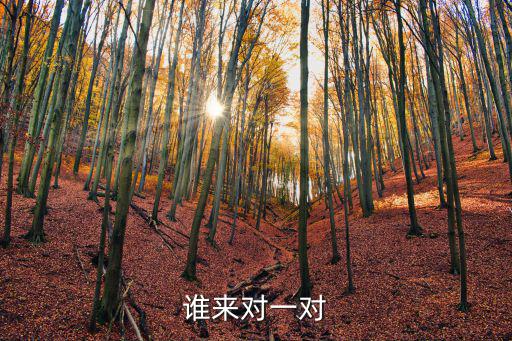 重慶市合川區七間鎮奇石，誰來對一對