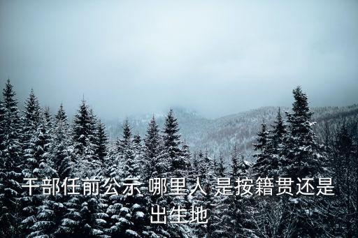 干部任前公示 哪里人 是按籍貫還是出生地