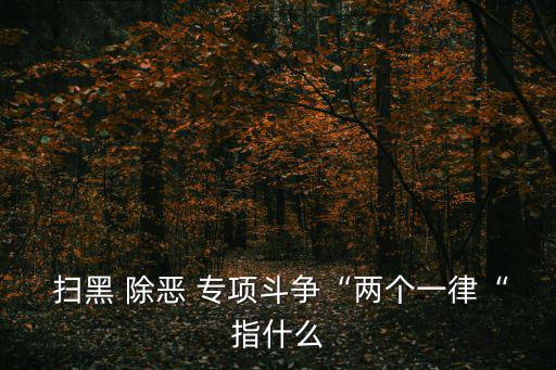  掃黑 除惡 專項斗爭“兩個一律“指什么