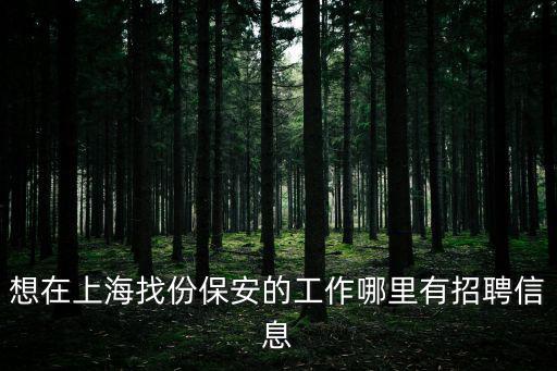 上海最新招聘保安吧，上海招聘馬仔