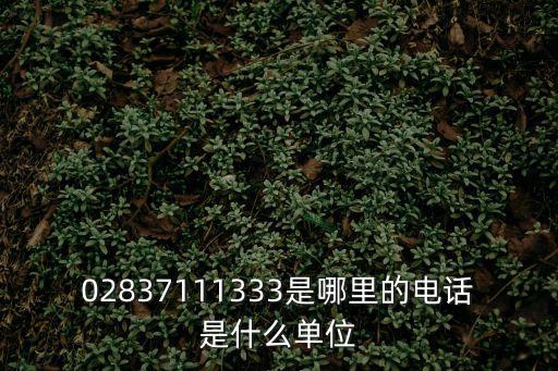 02837111333是哪里的電話是什么單位