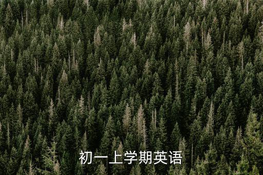 初一上學期英語，初一上學期英語