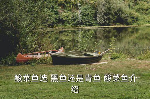  酸菜魚選 黑魚還是青魚 酸菜魚介紹