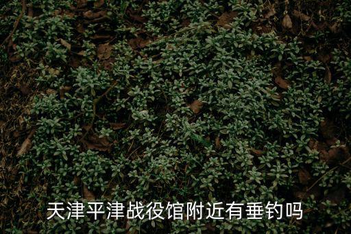 天津平津戰(zhàn)役館附近有垂釣嗎