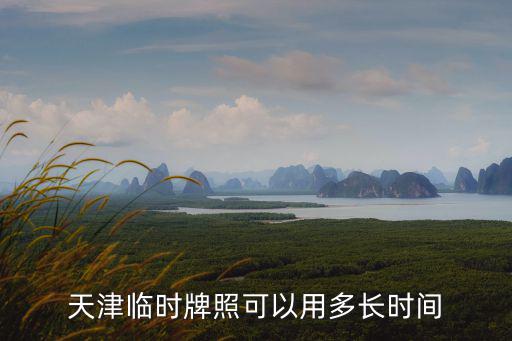 天津臨時牌照可以用多長時間