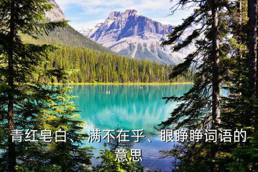 滿不在乎的意思,選情咖啡豆之爭