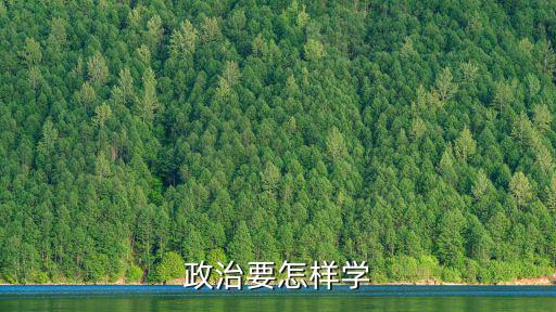 政治怎么學，怎樣學好政治