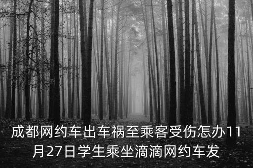 成都網約車出車禍至乘客受傷怎辦11月27日學生乘坐滴滴網約車發