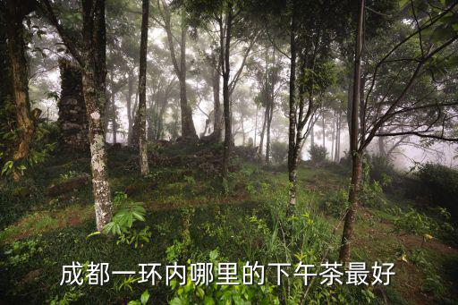 成都一環(huán)內(nèi)哪里的下午茶最好