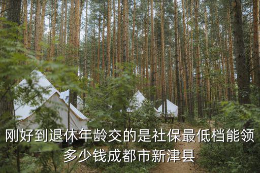 剛好到退休年齡交的是社保最低檔能領多少錢成都市新津縣