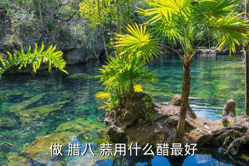 做 臘八 蒜用什么醋最好