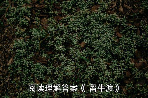留牛渡,黃河像慈祥老婦人靜靜流淌白露變成霜
