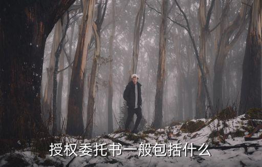 授權(quán)委托書一般包括什么