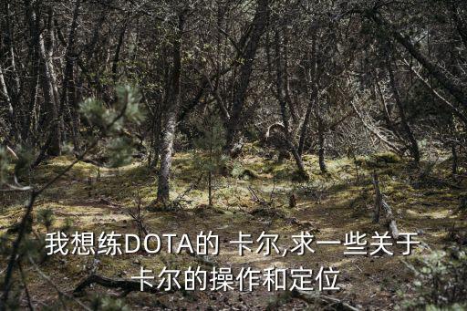 我想練DOTA的 卡爾,求一些關于 卡爾的操作和定位
