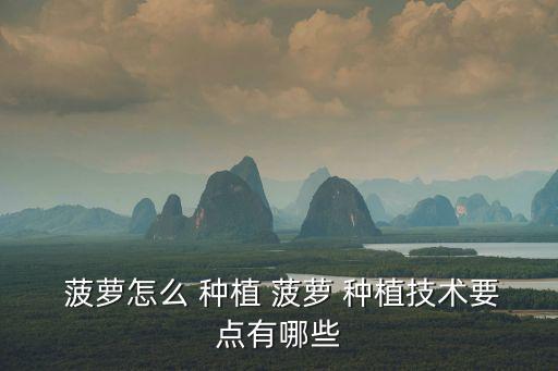 菠蘿種植,如何種植菠蘿?