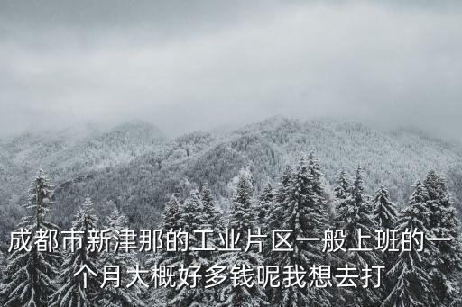 成都市新津那的工業(yè)片區(qū)一般上班的一個月大概好多錢呢我想去打