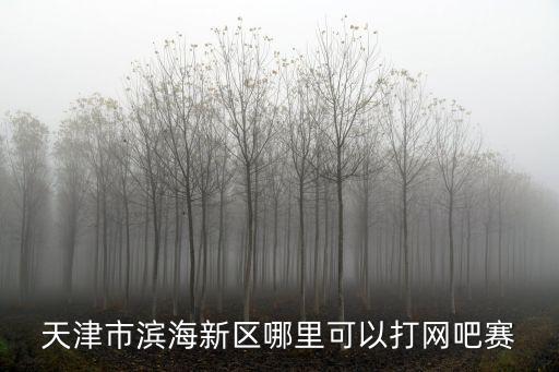 天津市濱海新區哪里可以打網吧賽