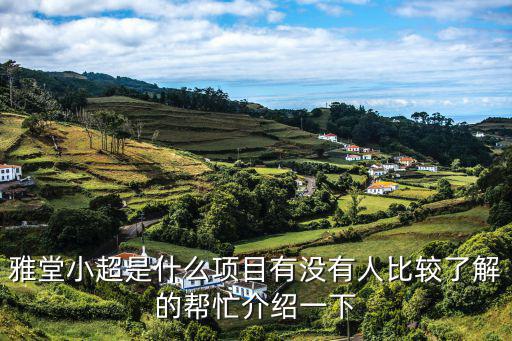 雅堂小超是什么項目有沒有人比較了解的幫忙介紹一下