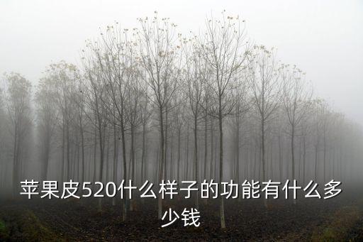蘋果皮520什么樣子的功能有什么多少錢