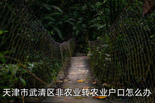 天津市武清轉(zhuǎn)業(yè)安置，天津市武清區(qū)非農(nóng)業(yè)轉(zhuǎn)農(nóng)業(yè)戶(hù)口怎么辦
