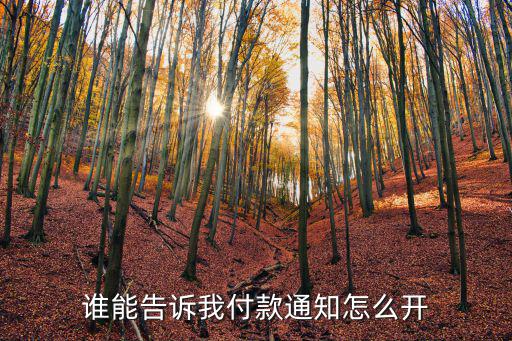 誰能告訴我付款通知怎么開