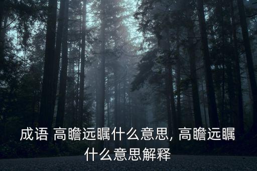 成語 高瞻遠(yuǎn)矚什么意思, 高瞻遠(yuǎn)矚什么意思解釋