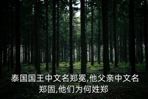 泰國皇帝,泰國人口占總?cè)丝诘?4%長期受中原文化影響