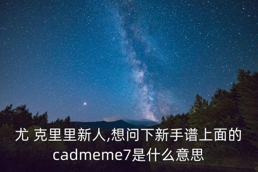 尤克里里d和弦,夏威夷音樂會(huì)如何進(jìn)行?