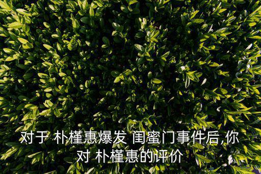 對(duì)于 樸槿惠爆發(fā) 閨蜜門事件后,你對(duì) 樸槿惠的評(píng)價(jià)