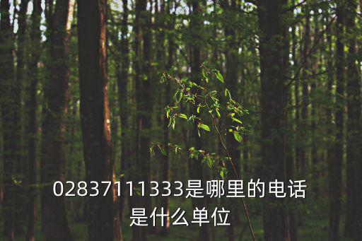 02837111333是哪里的電話是什么單位