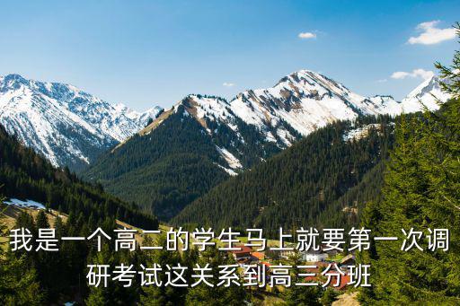 我是一個高二的學生馬上就要第一次調研考試這關系到高三分班