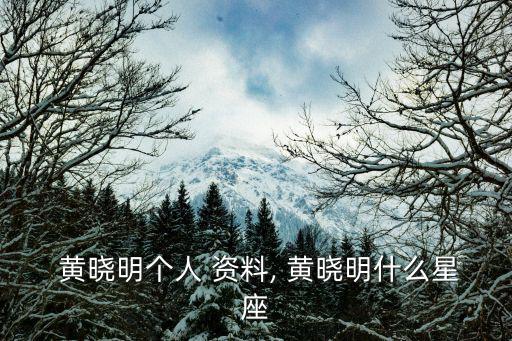黃曉明個人資料簡介,我和你一樣希望被愛