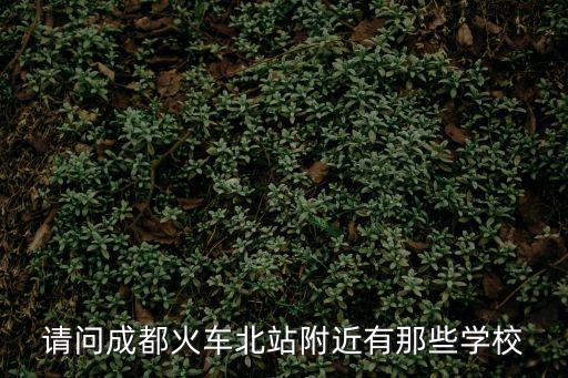 請問成都火車北站附近有那些學校