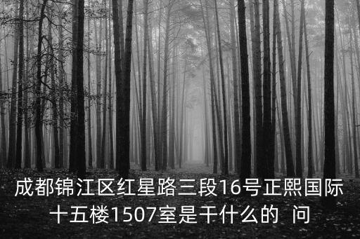 成都錦江區紅星路三段16號正熙國際十五樓1507室是干什么的  問
